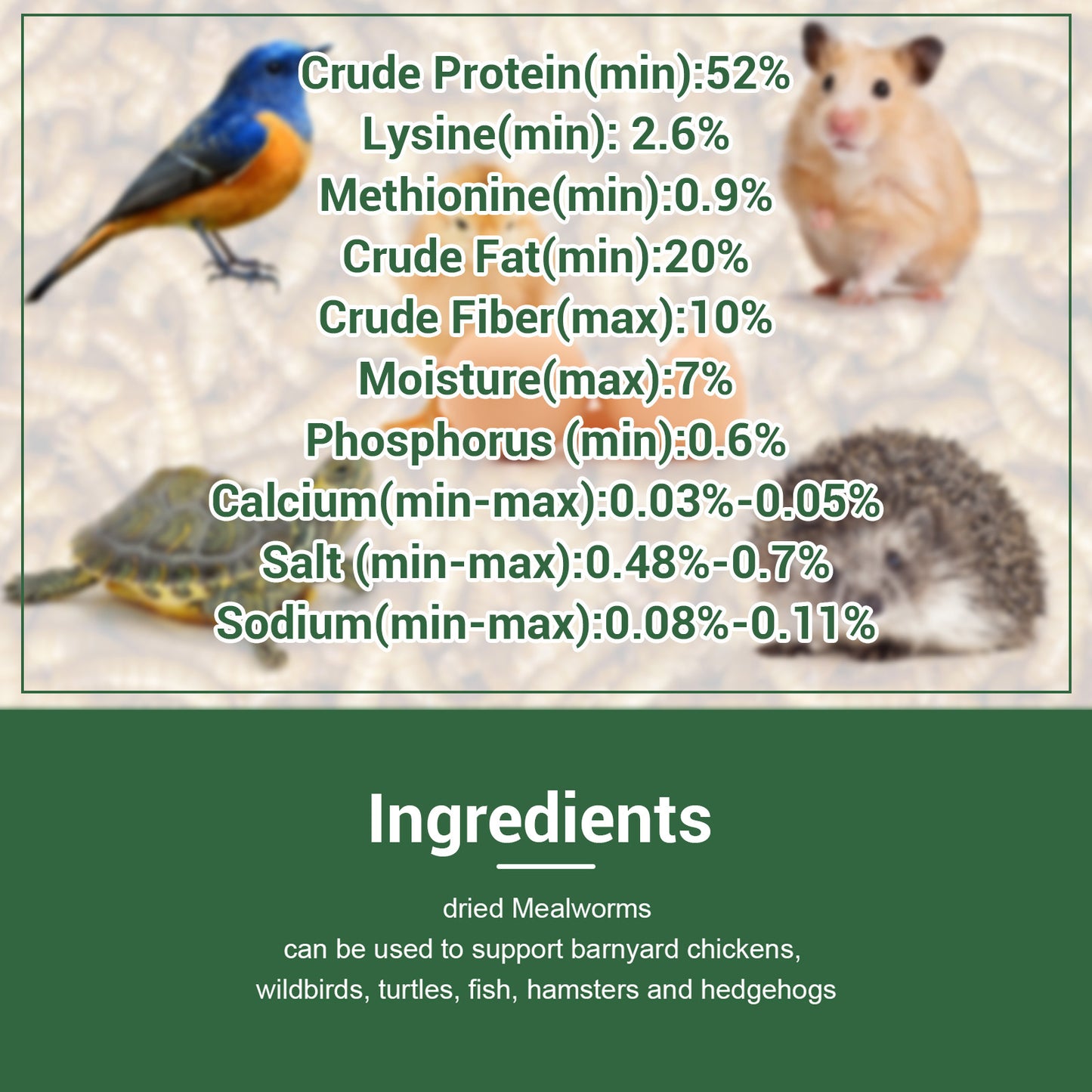 Dried Mealworms High Protein Animal Feed – Natural Insect Treats for Chickens Wild Birds Hens Ducks Turtles Fish Lizards Hamsters