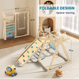 Blue Climbing Frame + Swing