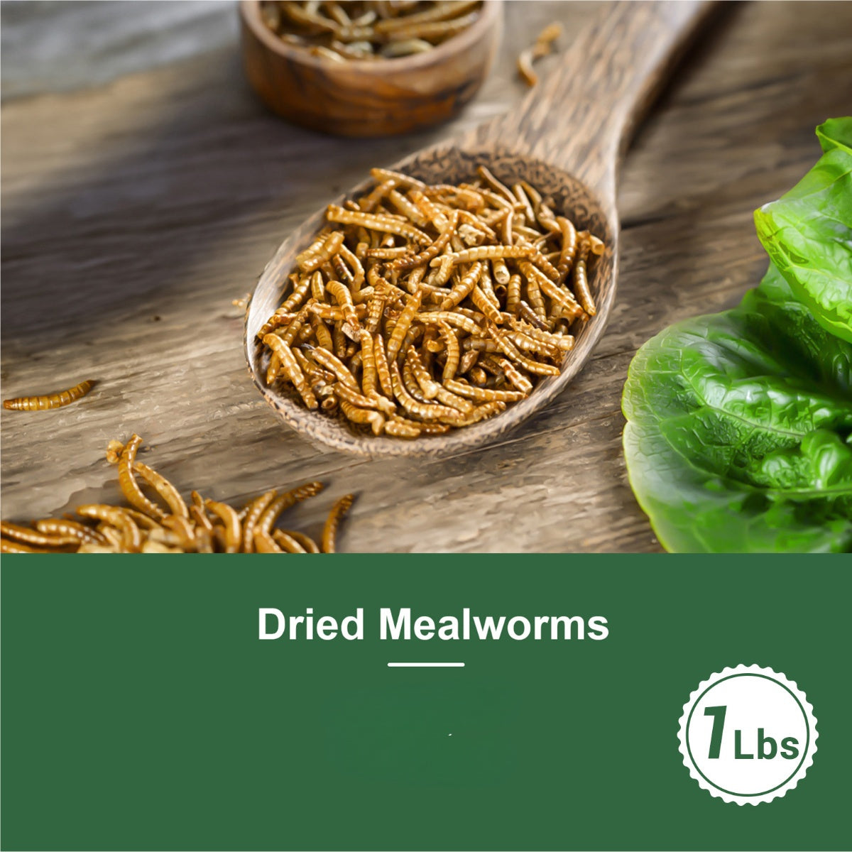 Dried Mealworms High Protein Animal Feed – Natural Insect Treats for Chickens Wild Birds Hens Ducks Turtles Fish Lizards Hamsters