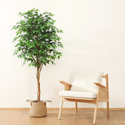 Artificial Ficus Tree with Braided Trunk, Full Green Canopy, Black Pot and 4, 5 or 6 ft Height Options