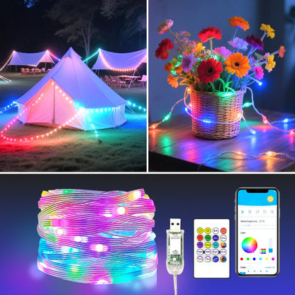 String Lights, RGB App-and-Remote-Control Fairy Lights with Music Sync, USB Power, IP65 Rating and Three Length Options