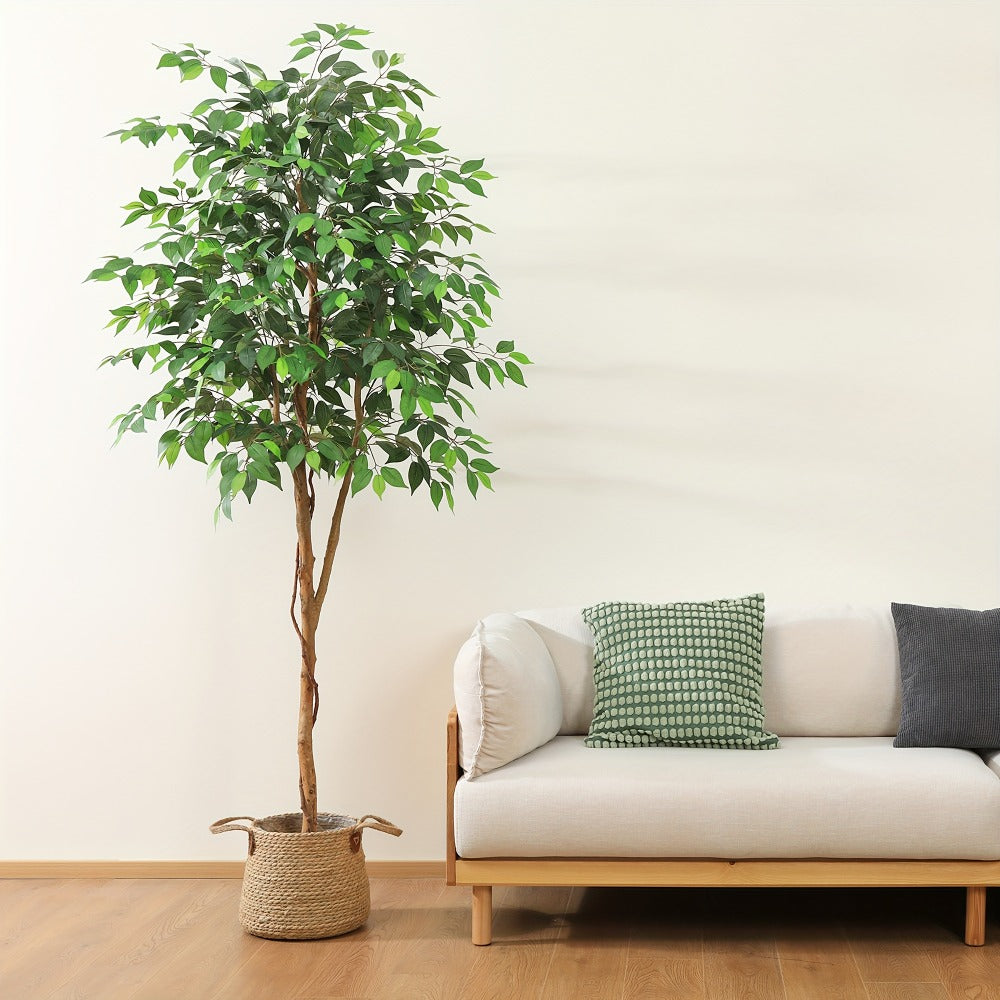 Artificial Ficus Tree with Braided Trunk, Full Green Canopy, Black Pot and 4, 5 or 6 ft Height Options