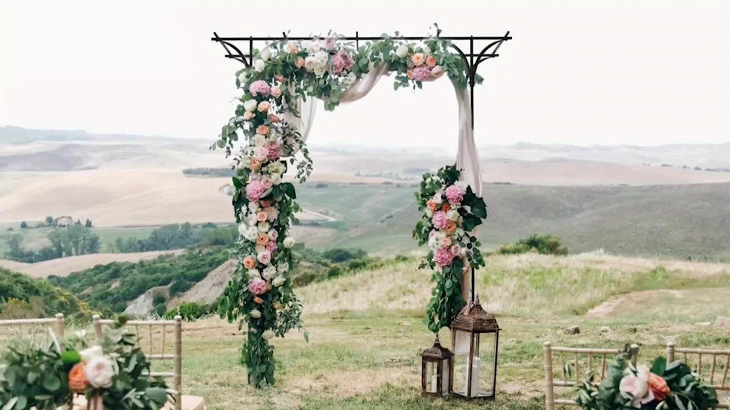 Flat Top Iron Garden Arch 16mm Tube Climbing Rose Trellis for Garden, Patio and Yard Use, with the Listed Configuration