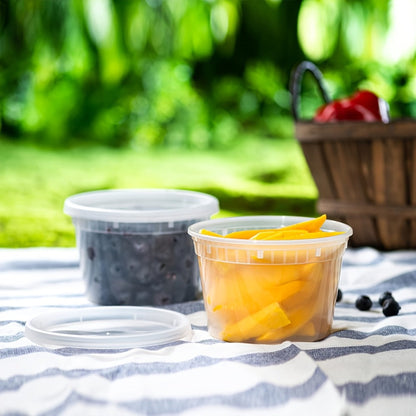 Food Storage Containers 24-Pack 16 oz Round Deli Boxes with Fitted Lids for Portion and Refrigerator Storage