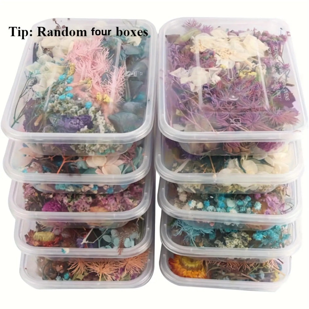 Four-Box Mixed Dried Flower Set with Assorted Colors and Small Botanical Pieces for Craft Decoration