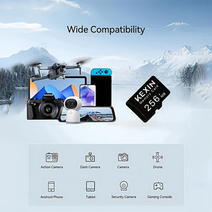 256MB Micro SD Card 10 Pack with SD Adapter, KEXIN High Speed TF Memory Cards Bulk Set for Car Audio