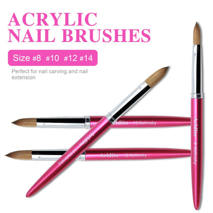 Kolinsky Acrylic Nail Brush Set 100% Pure Kolinsky Hair Flat Shape Sizes #10 #12 #14 – Professional Nail Art Sculpting Extension Brush