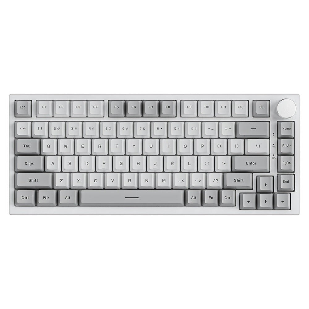 Hot Swap Gasket Mechanical Keyboard AJAZZ AK820 75%, Wireless 2.4GHz & Wired, Volume Knob, South-Facing RGB