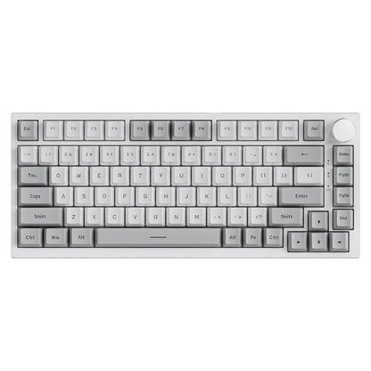 Hot Swap Gasket Mechanical Keyboard AJAZZ AK820 75%, Wireless 2.4GHz & Wired, Volume Knob, South-Facing RGB