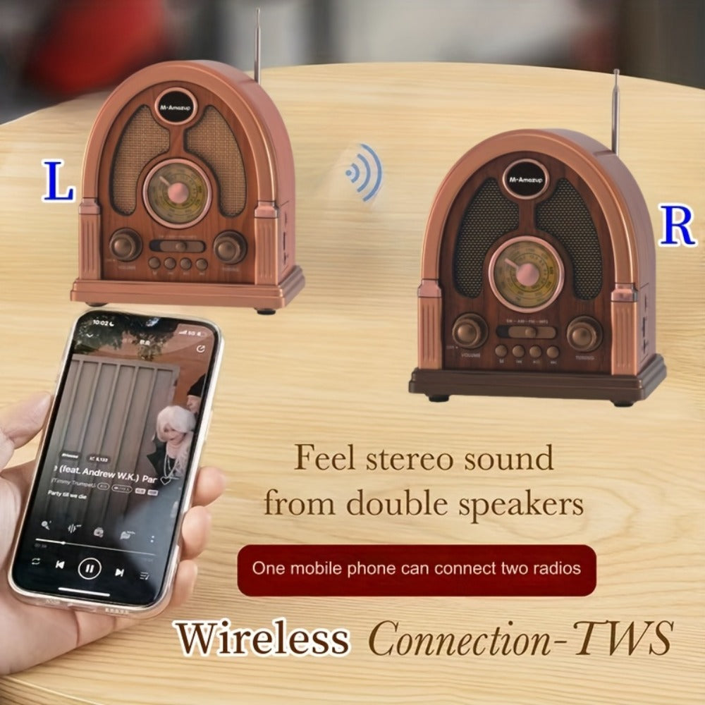 Portable AM FM SW Radio Bluetooth Speaker, Multi-Function Wireless Speaker with TF Card Player, Stereo Sound