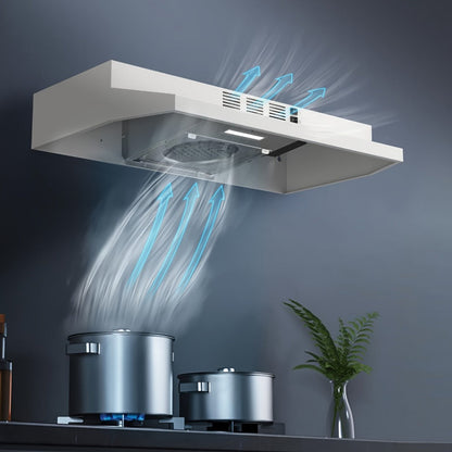 Range Hood 30 Inch Under Cabinet, Ducted & Ductless Convertible Kitchen Vent Hood with LED Light & 2-Speed Exhaust Fan