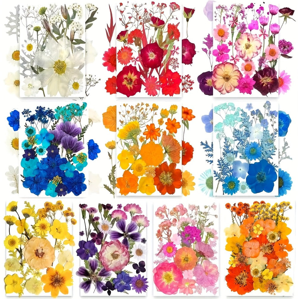 Dried Pressed Flowers Kit 500pcs – Natural Real Flower Petals & Leaves for Resin Art, Nail Art, Jewelry Making, Scrapbooking