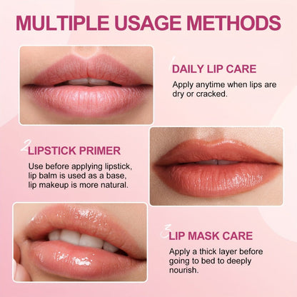 24-Piece Doll-Shaped Lip Balm Display Set in Two Illustrated Set A or Set B Checkout Options