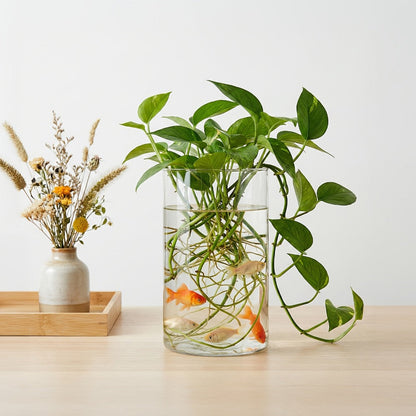 Glass Cylinder Vases for Centerpieces Bulk 12/24pcs, Clear Flower Vases for Wedding Decorations, Floral Arrangements