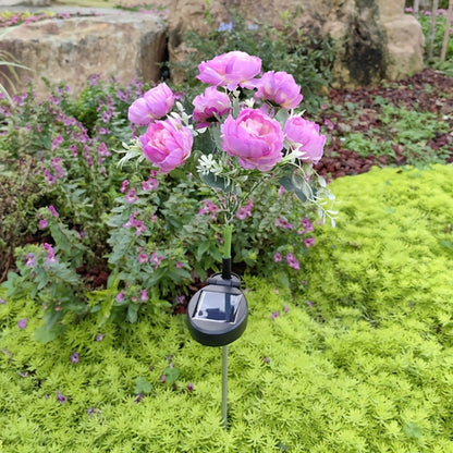 Solar Garden Lights 2-Pack Peony Flower Stakes, 84 LEDs, IP65 and Four Bloom Colors for Yard Decor