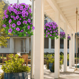 Purple-1Pc