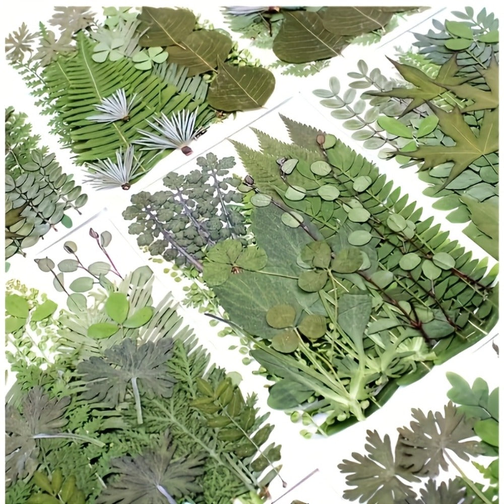 Dried Flower Material Pack 120pcs for Entryways, Bedrooms and Living Spaces, with the Listed Configuration