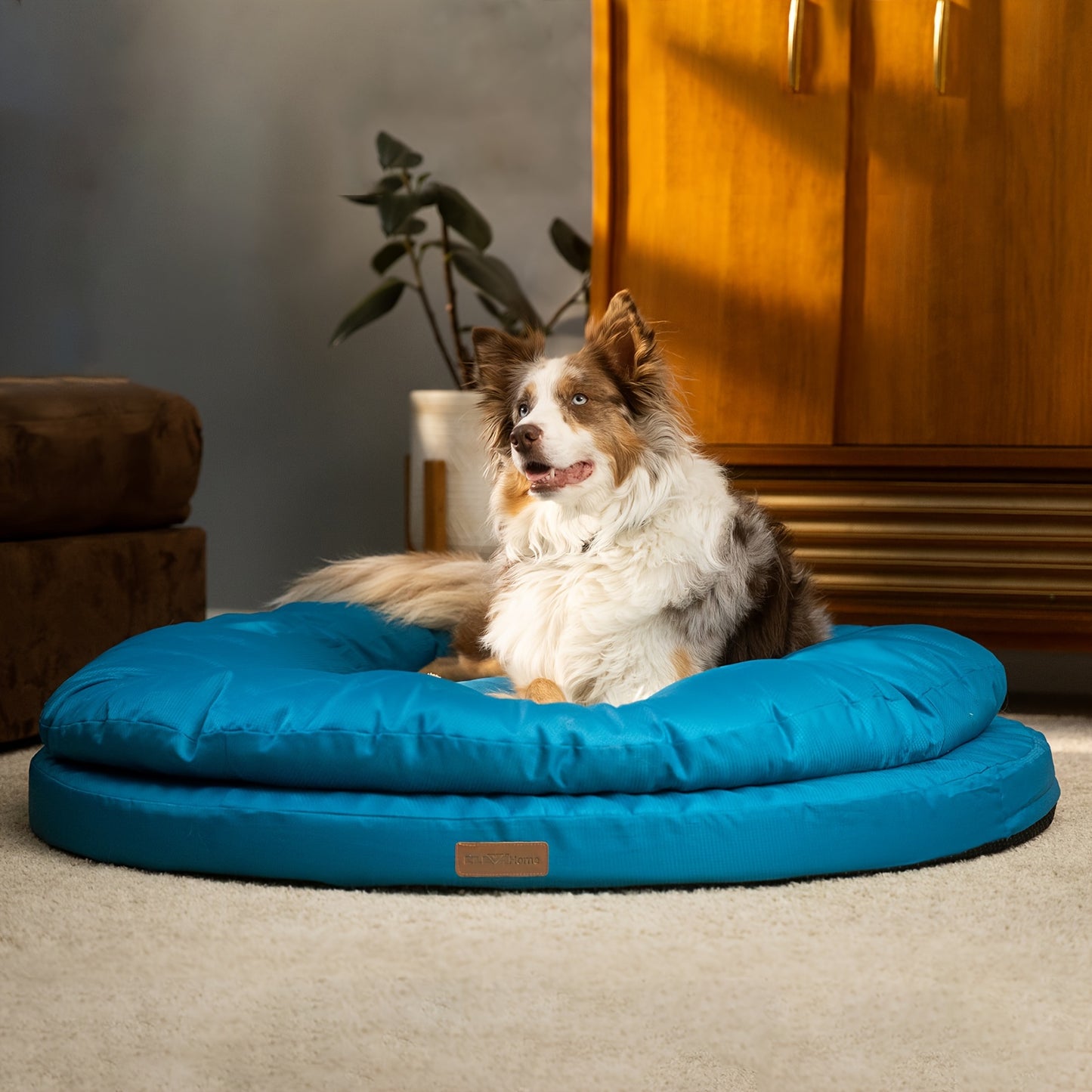 Orthopedic Dog Bed for Large Dogs – Dual Layer Round Pet Bed with Washable Cover & Non-Slip Bottom, Joint Support Memory Foam Dog Sofa Bed