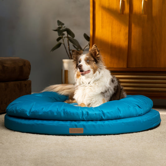 Orthopedic Dog Bed for Large Dogs – Dual Layer Round Pet Bed with Washable Cover & Non-Slip Bottom, Joint Support Memory Foam Dog Sofa Bed