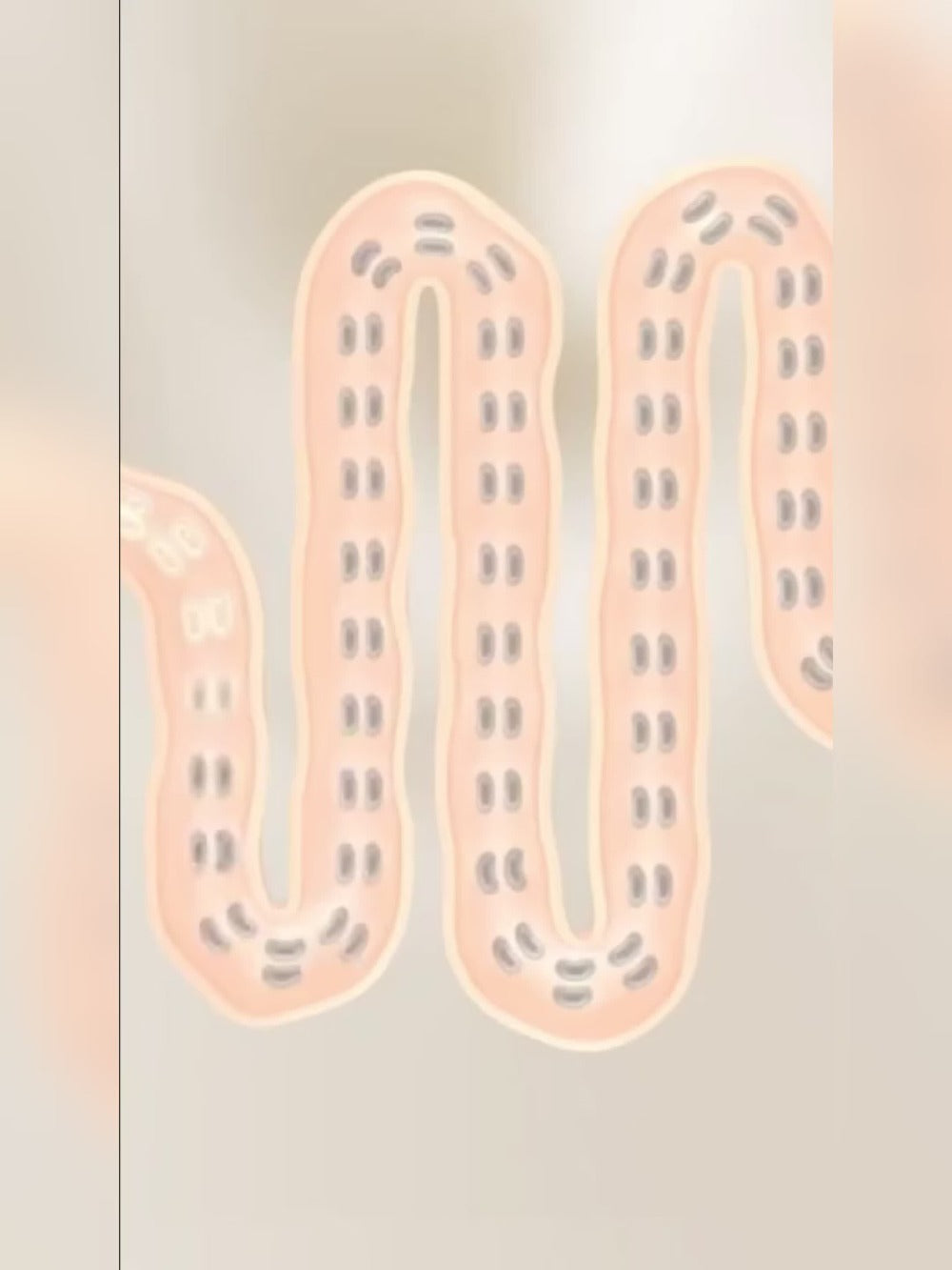 Probiotics 18000 Billion CFU Capsules, Lactobacillus & Bifidobacterium Multi-Strain Formula