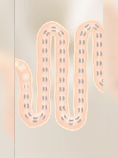 Probiotics 18000 Billion CFU Capsules, Lactobacillus & Bifidobacterium Multi-Strain Formula