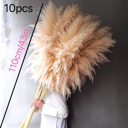 Pampas Grass Decor 10 Stalks 45 Inch Tall Natural Dried Fluffy Plumes for Floor Vase, Living Room