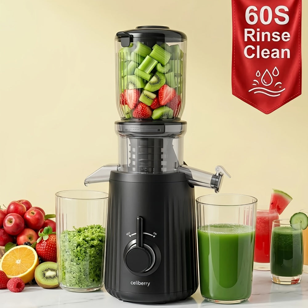 Masticating Juicer Cold Press - 4.25" Wide Feed Chute Auto-Feed Slow Juicer for Whole Fruits & Vegetables