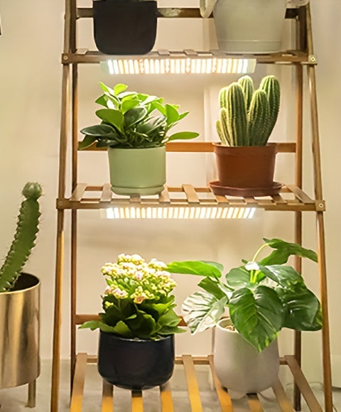Grow Light, Full Spectrum 270 LED Timer Dimmable Indoor Plants Seedling for Garden, Patio and Yard Use