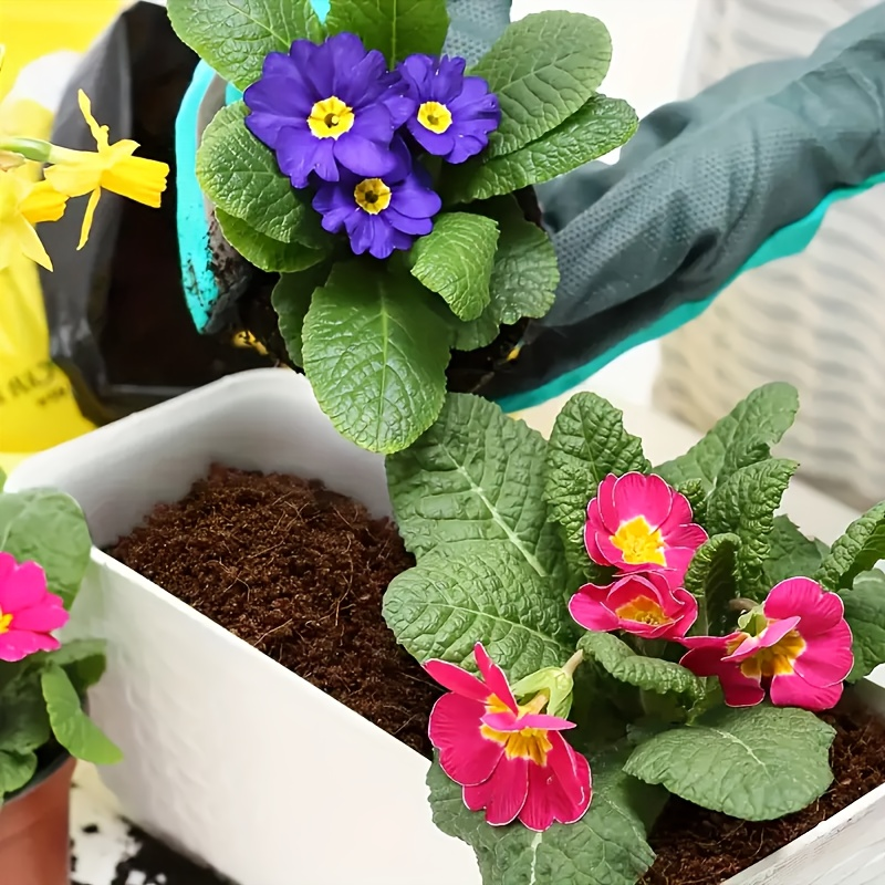 Coco Coir Bricks Natural Coconut Fiber Planting Soil | Compressed Coir Block Expands 6x for Hydroponics Potting Mix Garden Beds | 200g 400g