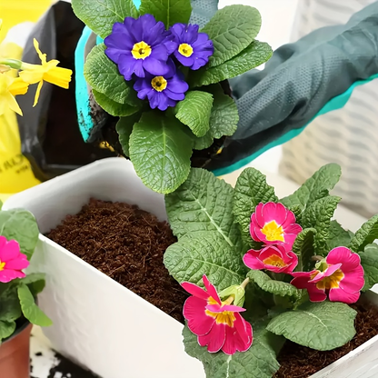 Coco Coir Bricks Natural Coconut Fiber Planting Soil | Compressed Coir Block Expands 6x for Hydroponics Potting Mix Garden Beds | 200g 400g