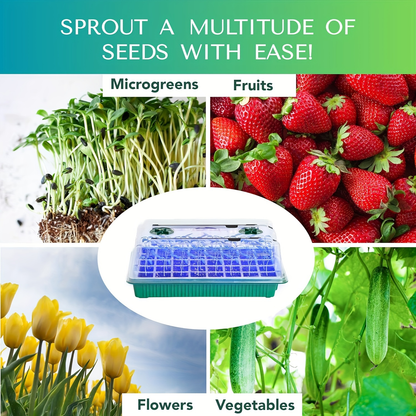Seed Starting Tray Kit 4-Set 160 Cells High Dome | 8 LED Grow Lights Smart Timer 3 Modes 5 Brightness | Indoor Greenhouse Germination