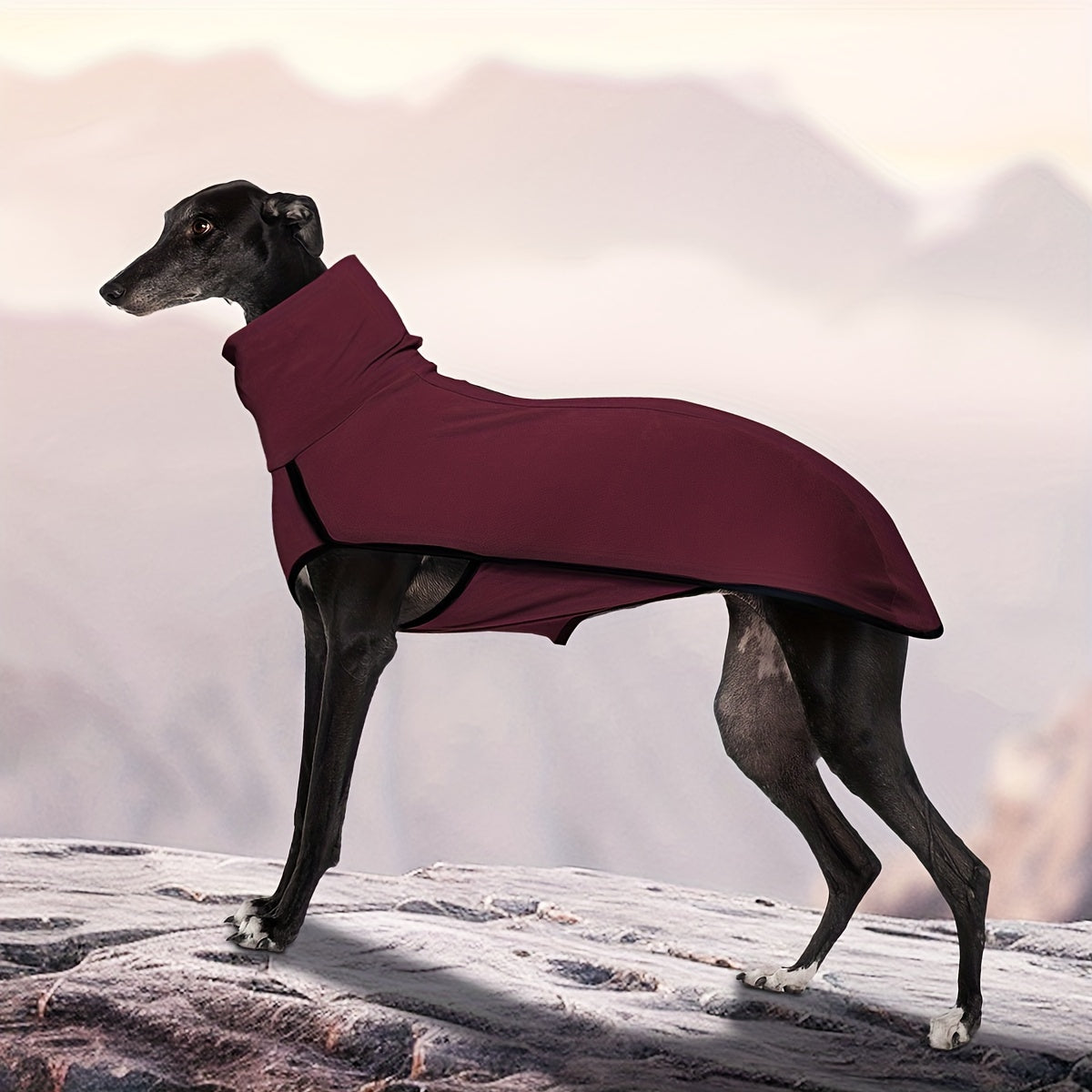 High Neck Dog Coat Warm Pullover – Solid Color Woven Polyester Pet Jacket, Machine Washable, All-Season Fall & Winter Dog Apparel