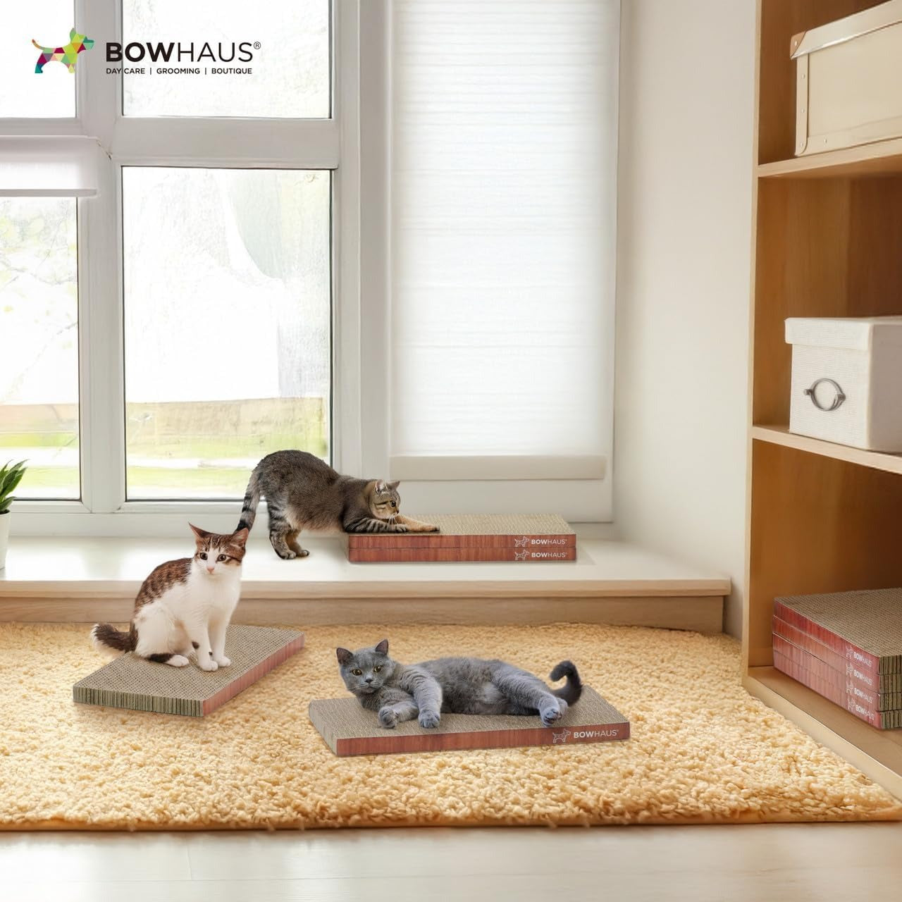 Cat Scratcher Lounger Reversible – Large Cardboard Cat Scratching Pad & Board for Indoor Cats, 5-Layer Durable Construction