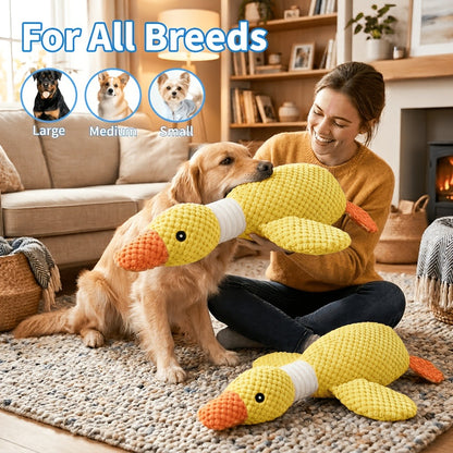 Squeaky Plush Dog Toys for Small Medium Large Dogs – Crinkle Stuffed Animal Chew Toy for Puppies, Shark & Platypus Design