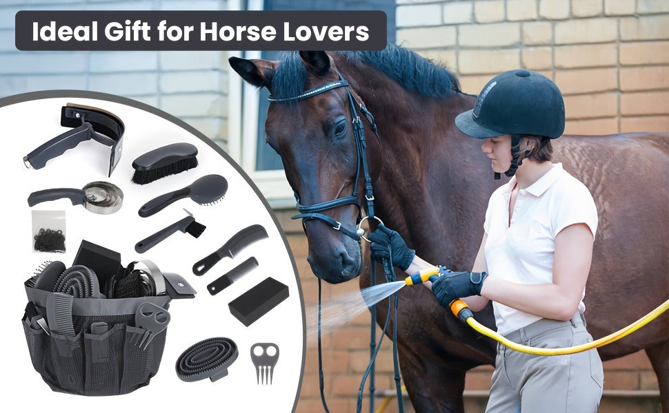Horse Grooming Kit 11-Piece Set with Storage Bag – Complete Beginner & Daily Care Set with Curry Comb, Reversible Brush & Braiding Tools |