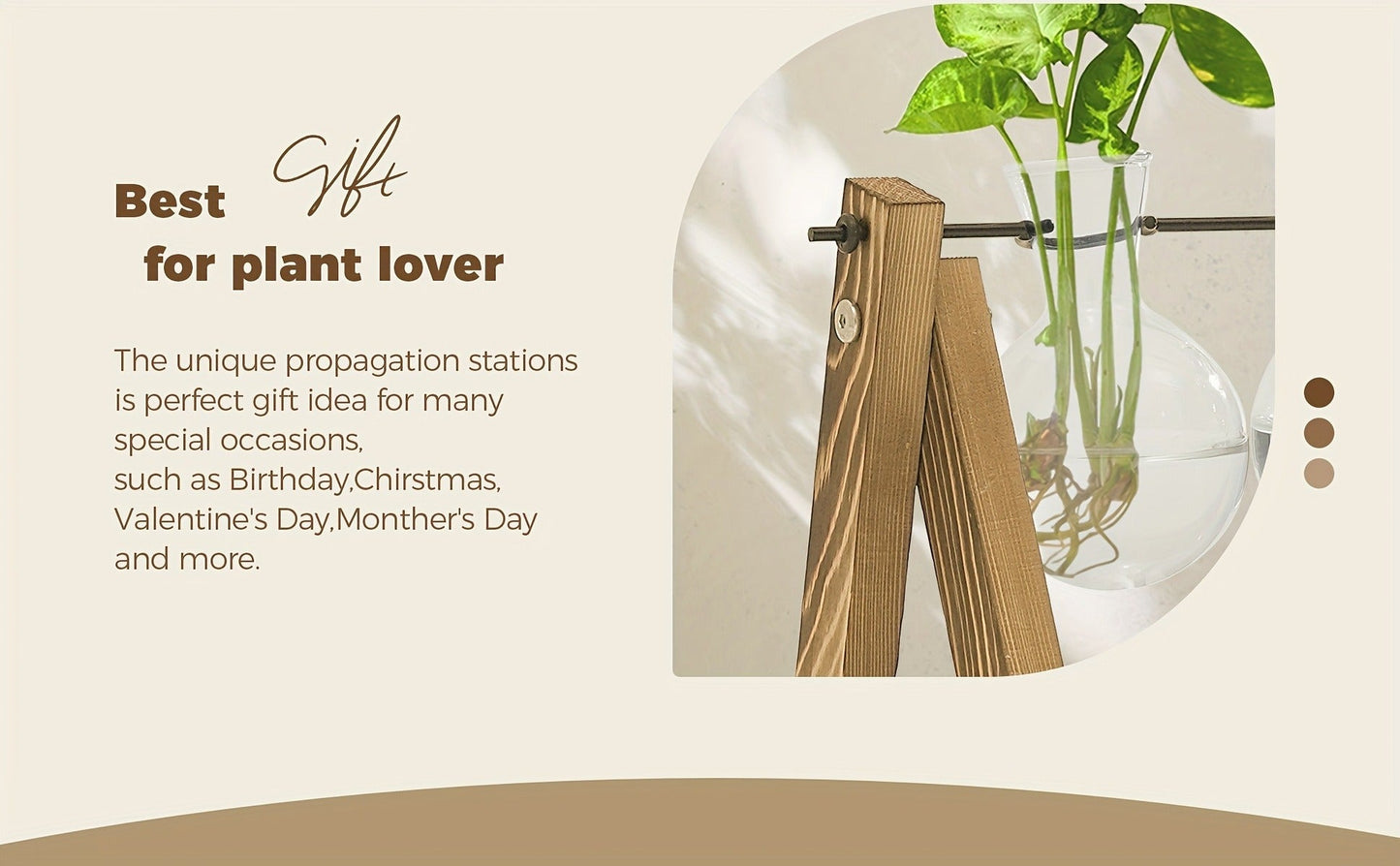 Glass Terrarium Heart Shaped Hydroponic Vase with Wooden Stand – Elegant Plant Propagation Station for Home Decor