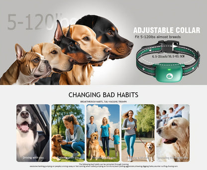 Dog Training Collar Green Remote Set with 730-Meter Range, Three Cue Modes and Two- or Three-Receiver Options