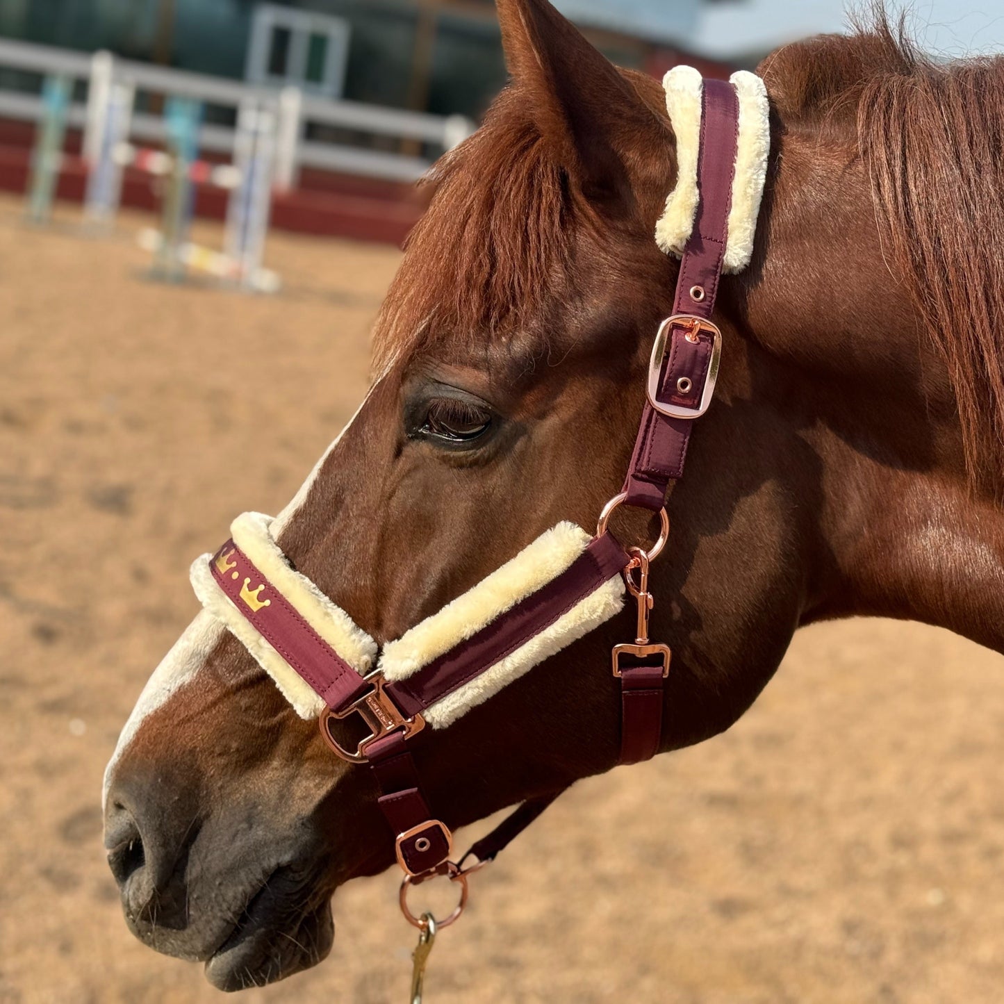Horse Halter with Detachable Faux Fur Band & Glossy Buckle – Adjustable Head Collar for Horses, Available in 15 Colors & 3 Sizes FULL COB