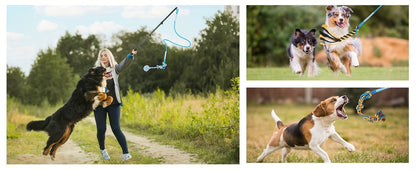 Dog Flirt Pole Telescopic – Extendable Flirt Stick with 3 Detachable Toys & Nylon Rope, Aluminum Alloy Dog Chase Toy