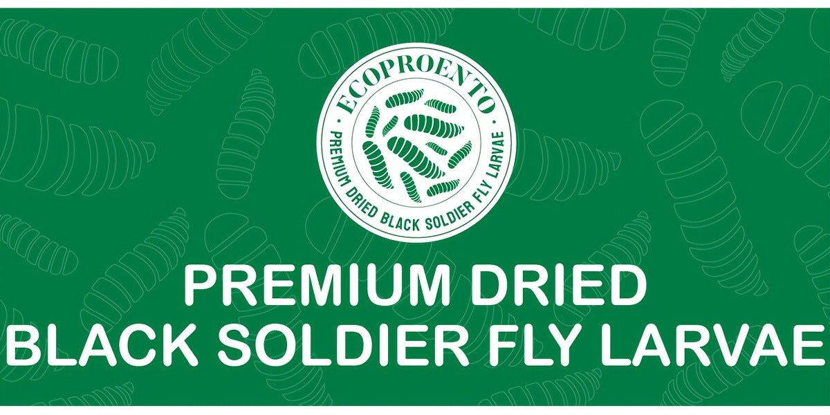Non-GMO Dried Black Soldier Fly Larvae 5LB & 10LB – 85X More Calcium Than Mealworms, High Protein BSFL Treats for Chickens, Ducks