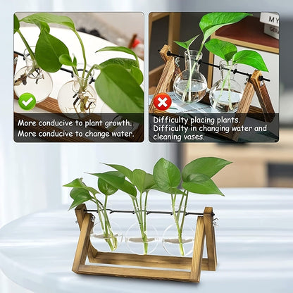 Propagation Station 3 Bulb Glass Vase with Wooden Stand – Hydroponic Plant Terrarium for Home Office Desk Decor