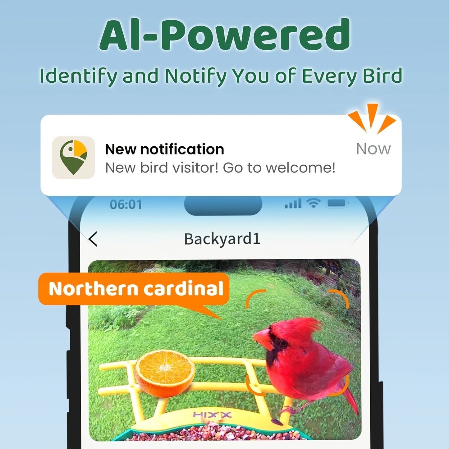Smart Bird Feeder with Camera AI Bird Identification, 2K HD Live View, Auto Capture & Color Night Vision