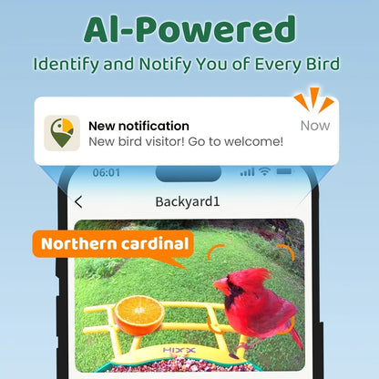 Smart Bird Feeder with Camera AI Bird Identification, 2K HD Live View, Auto Capture & Color Night Vision