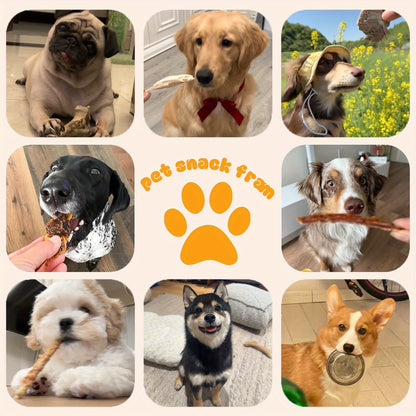 Training Treats, Duck Jerky Dog Treats – Chicken-Wrapped Sweet Potato Sticks, Chewy Long Lasting Chews for Small Medium Large Dogs