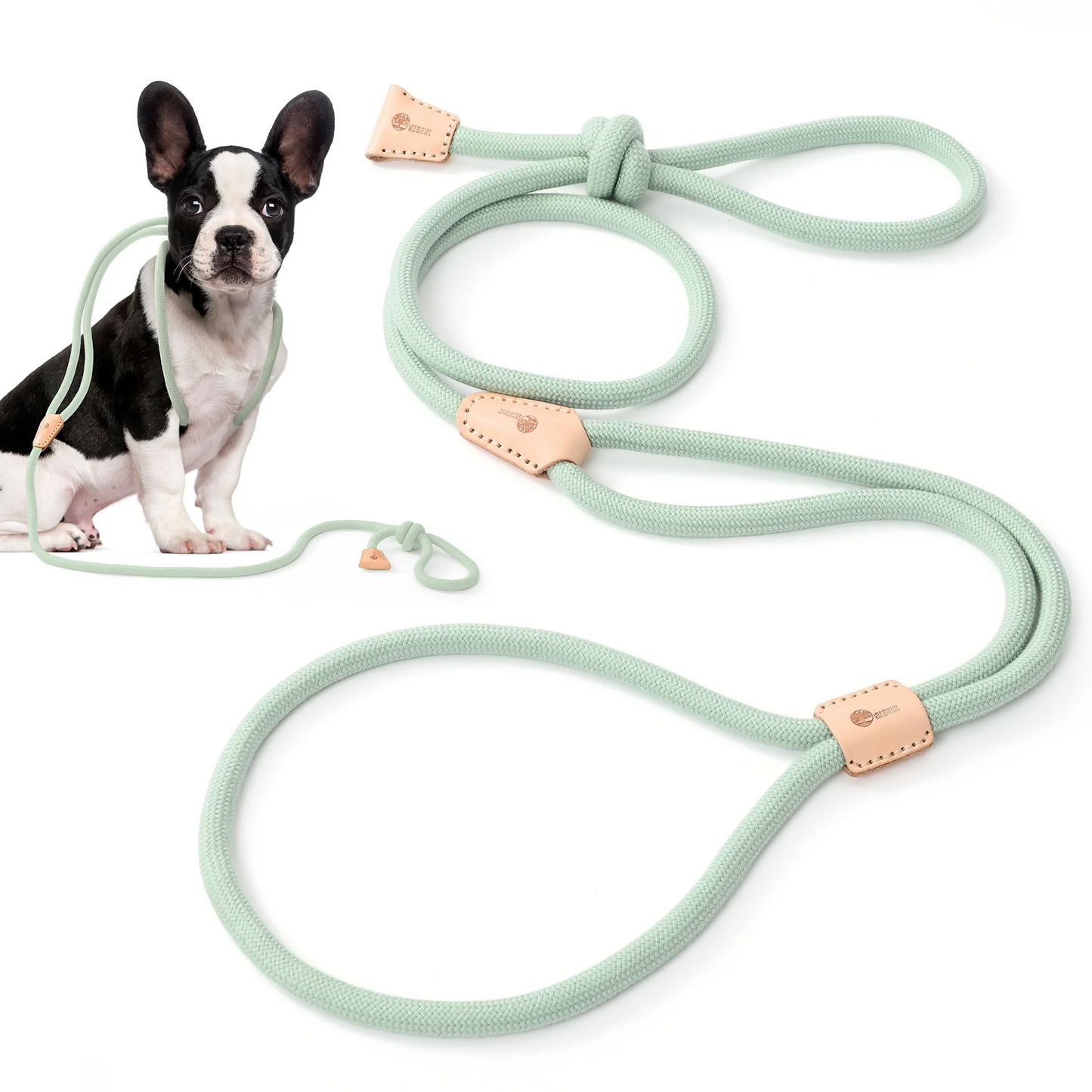 Dog Slip Leash and Harness 2-in-1 Rope Lead – No Pull All-in-One Training Leash for Puppies & Small Dogs, Adjustable Slip Lead with Soft