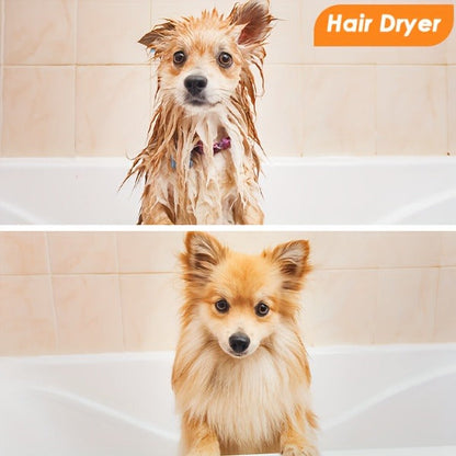 Pet Grooming Vacuum Kit with 2.2L Cup, Purple or Orange Trim and 8-in-1 or 9-in-1 Dryer Packages