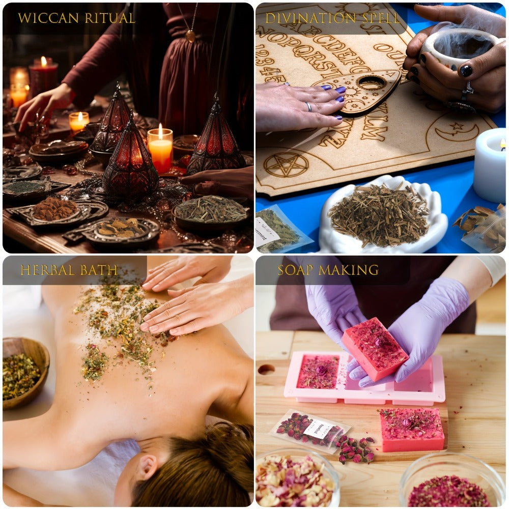 Dried Herbs & Flowers Magic Supplies Kit 40 Pack, Witch Starter Set for Rituals, Spells, Candle & Soap Making