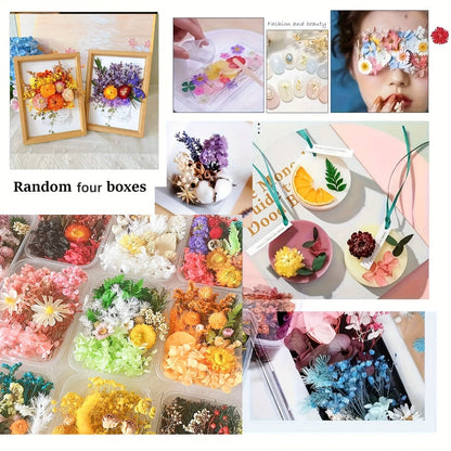 Four-Box Mixed Dried Flower Set with Assorted Colors and Small Botanical Pieces for Craft Decoration