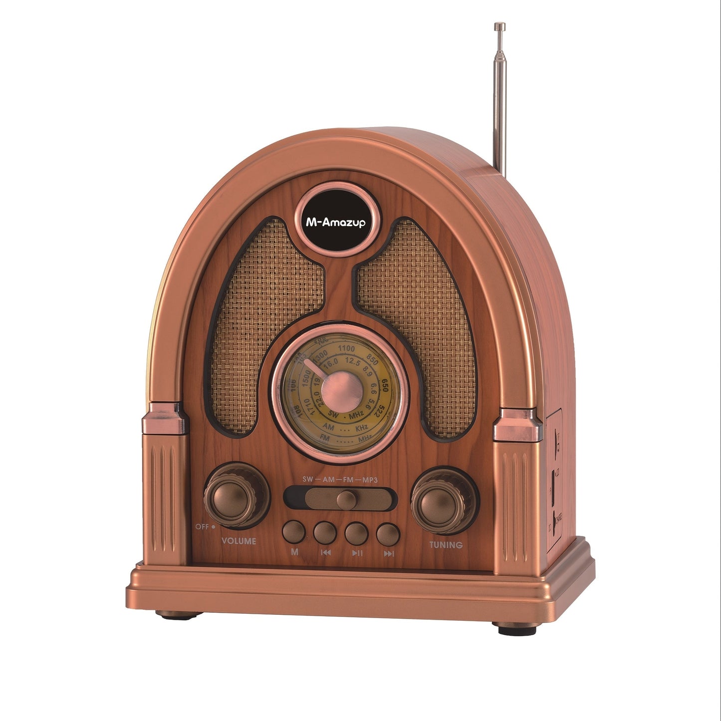 Portable AM FM SW Radio Bluetooth Speaker, Multi-Function Wireless Speaker with TF Card Player, Stereo Sound