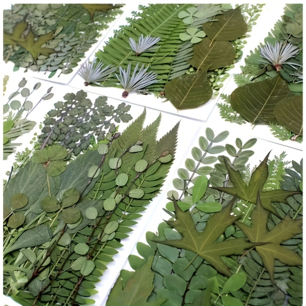 Dried Flower Material Pack 120pcs for Entryways, Bedrooms and Living Spaces, with the Listed Configuration